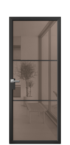 Дверь межкомнатная Фрейм 03 Цвет Черный Покрытие Алюминий  Наличник Скрытый короб Цена 81100